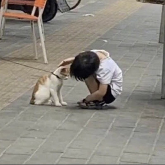 Meet your Posher, Wai ling - Picture 1 of 1